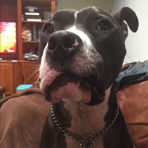 Meet your Posher, Matt